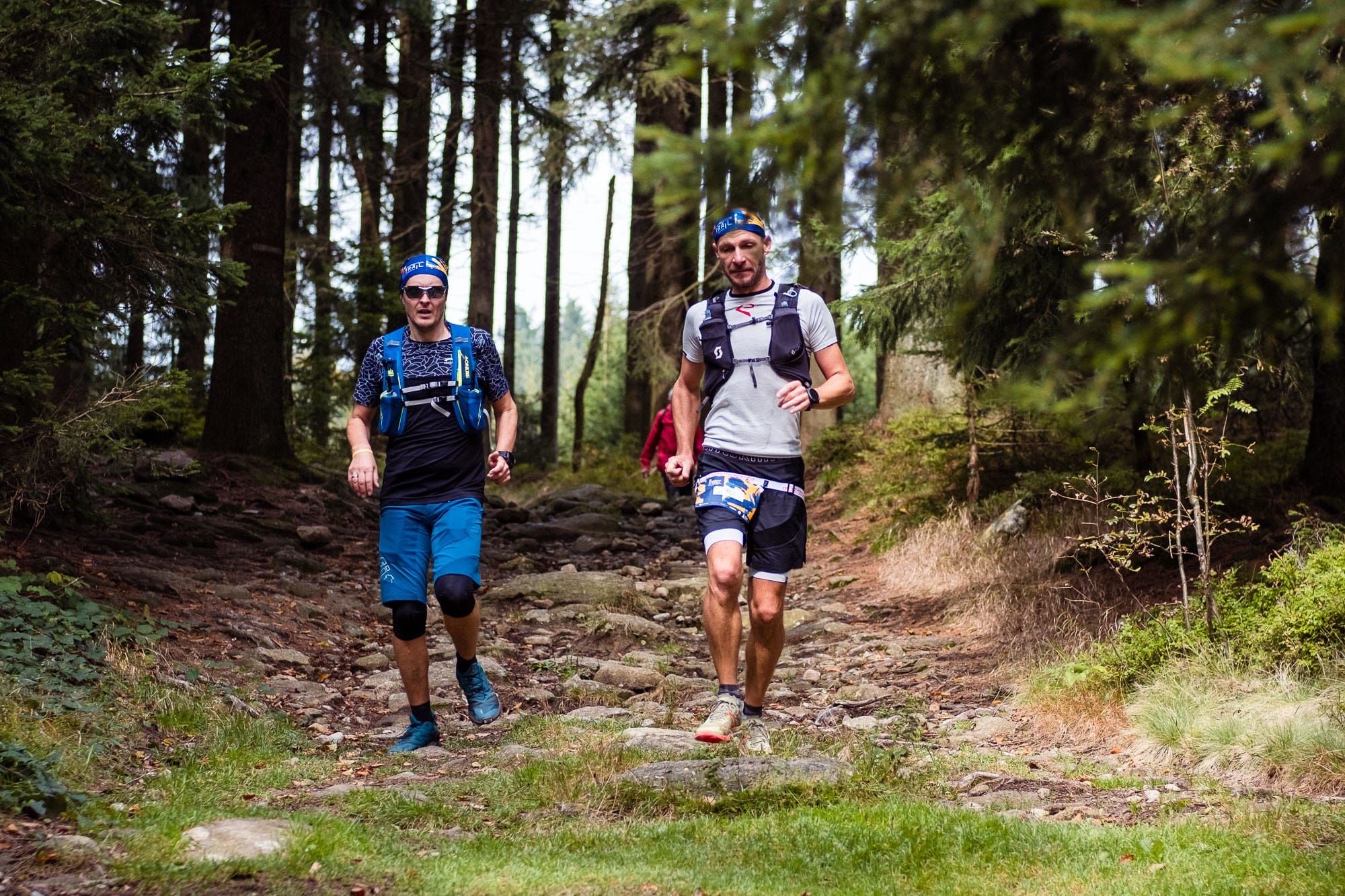 Abenteuer im Böhmerwald